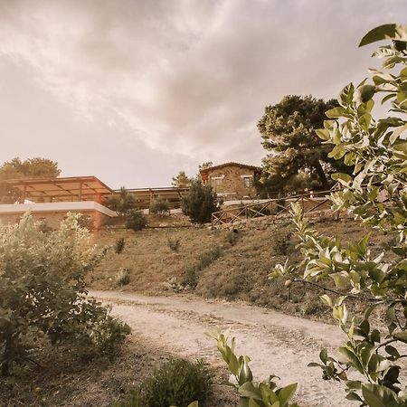 Bed and Breakfast Casale 700 Amendolara Exterior foto